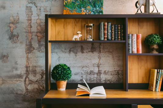 The Impact of Leather-Bound Books on Interior Design: A Timeless Trend